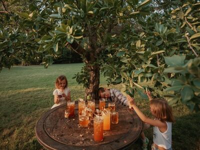 Drei Kinder sitzen unter einem Baum bei dem ein Tisch mit Getränke steht.