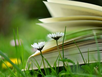 2026-10-13_Von_der_Idee_zum_Buch__c_congerdesign_pixabay_pbs 2026-10-13_Von_der_Idee_zum_Buch__c_congerdesign_pixabay_pbs