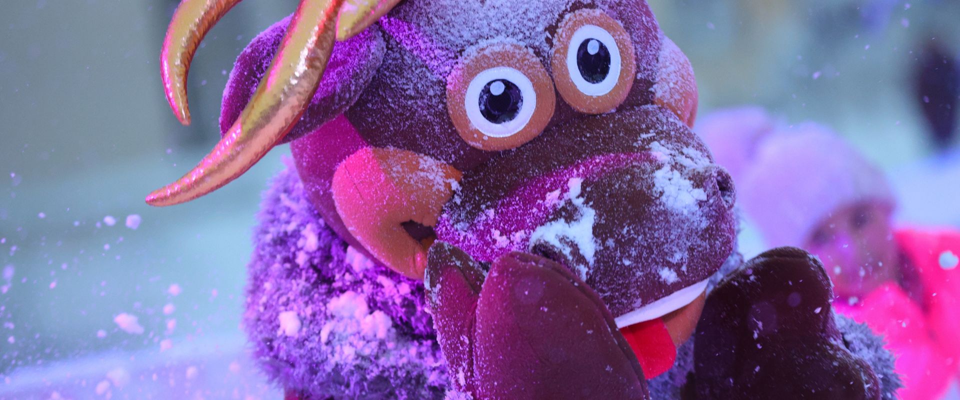 Rentier Sven wird von einem Schneeball getroffen.