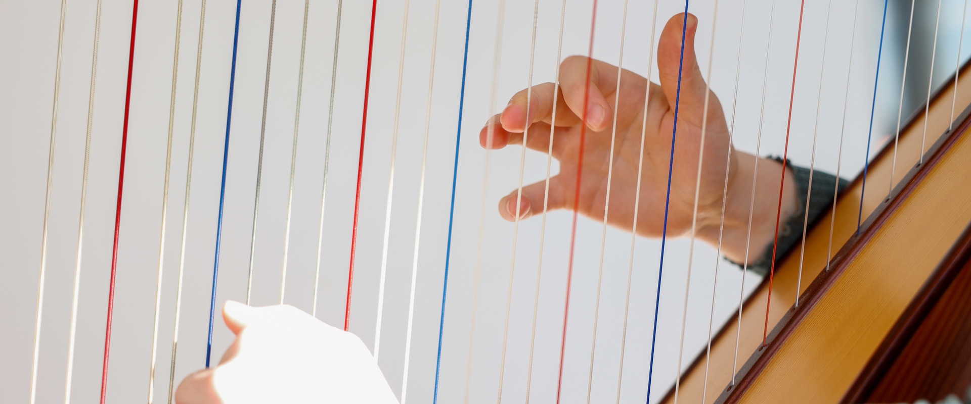 Eine Frau spielt Harfe. 