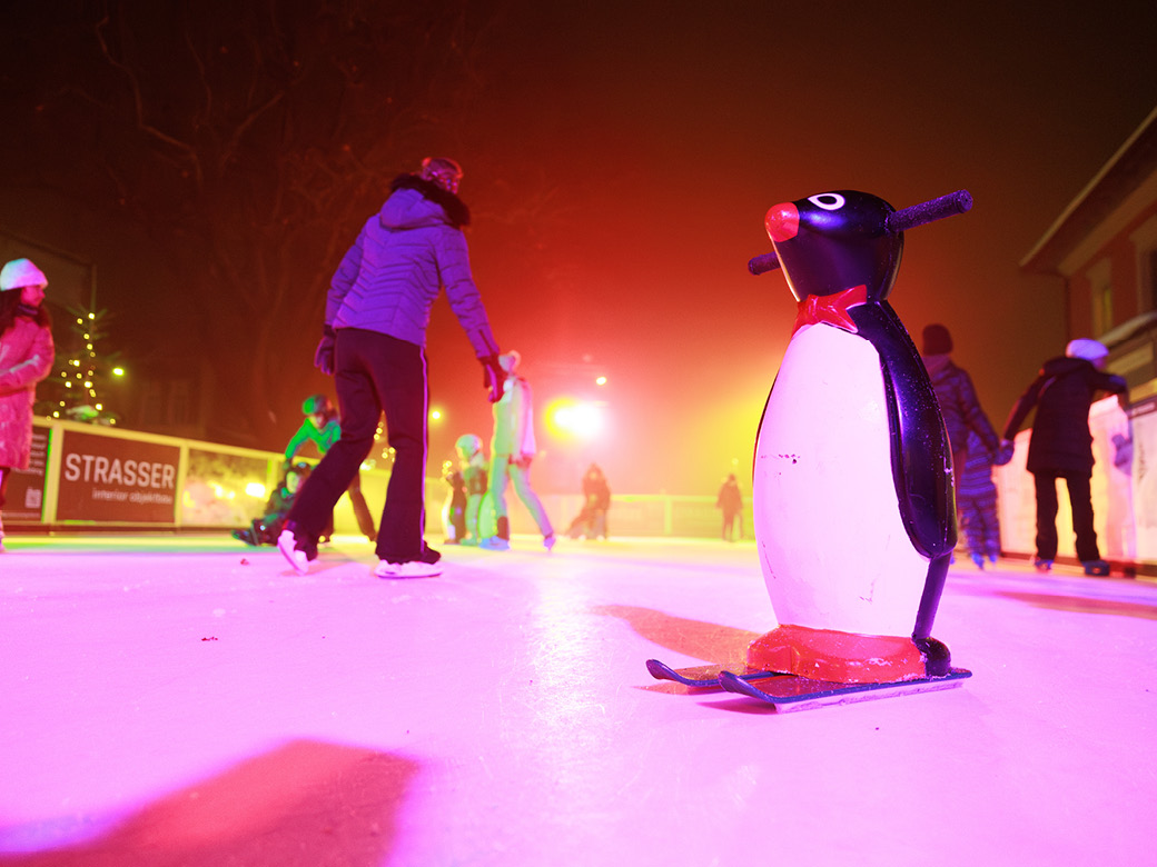 Dschungelbuch – Faschingsparty, Eisbahn, Kreisstadt Altötting, Foto Julian Spilker Eine Eislauf-Hilfe in Form eines Pinguins wartet auf der Eisbahn auf mutige Eislauf-Einsteiger.