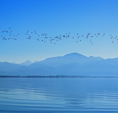 Der Chiemsee mit den Alpen im Hintergrund.